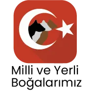 milli-ve-yerli-bogalarimiz